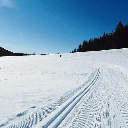 Les Sources Petit 2p Et Bb Chalet Saint-Julien-en-Vercors